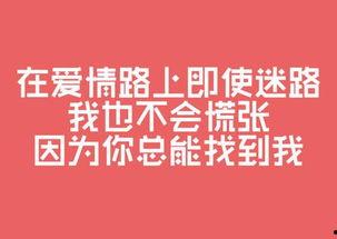 娱乐吃瓜文案图片带字,吃瓜群众视角下的明星幕后故事