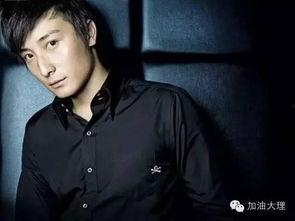 云南有哪些明星和歌星,云南明星与歌星风采掠影